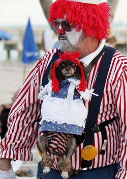 Pet Masquerade and Parade 2005 photo - Duval Street, Key West